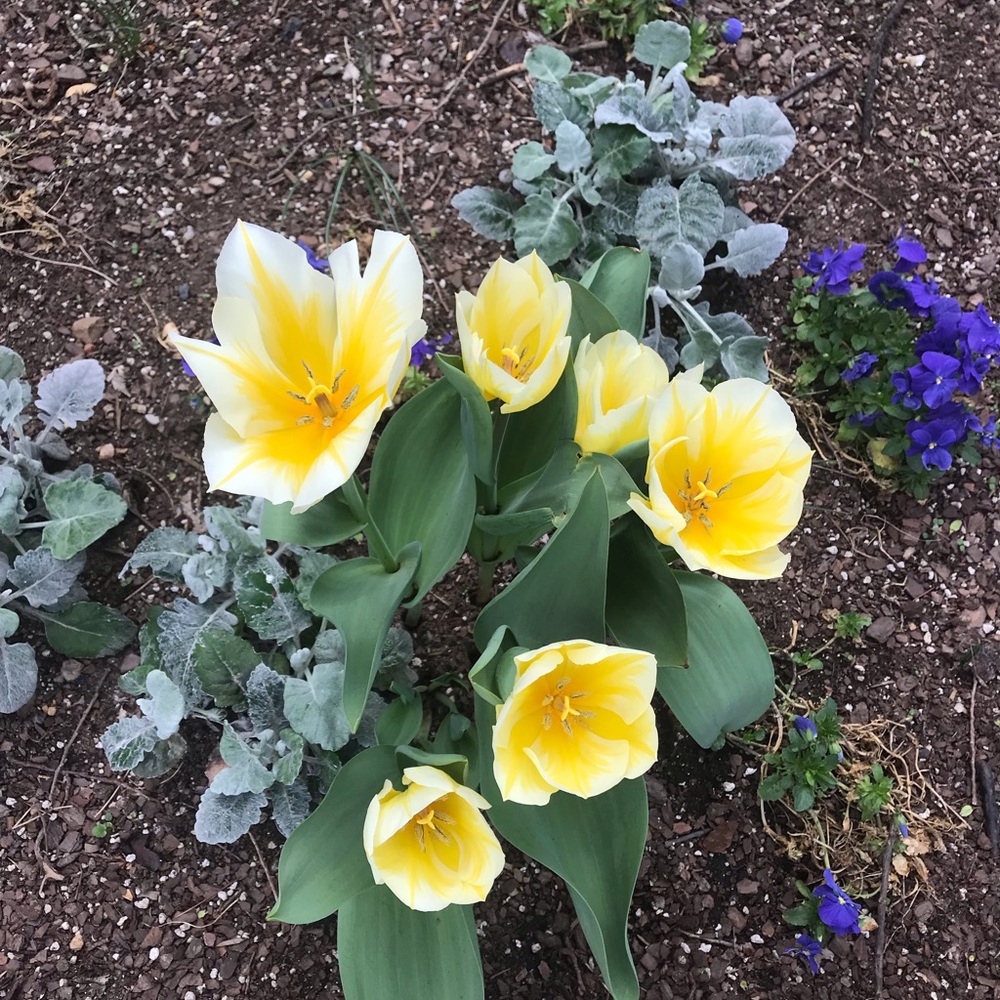 Meet your Posher, Kadie